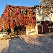 Scorcio del circolo Gallo Rosso in autunno